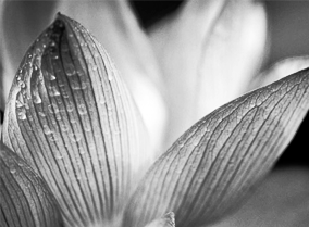 短信轰在线网页版入口